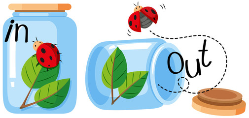 Ladybug in and out of the jar