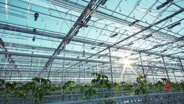 Industrial greenhouses time lapse. Rising sun 4k