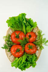 Ripe tomatoes in green