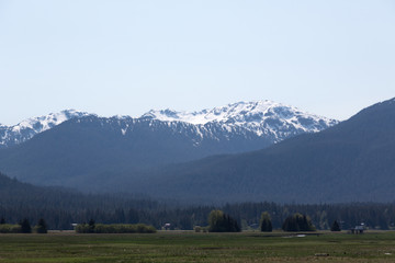 Fototapeta na wymiar The Mountains of Juneau