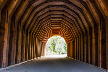 Old Train Tunnel