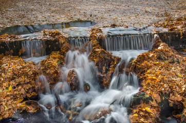 Small waterfall with autumn leaves