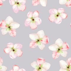 A seamless floral pattern with the tender pink apple tree blooming flowers, painted in a watercolor on a grey background
