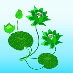 Lotus Flower in green