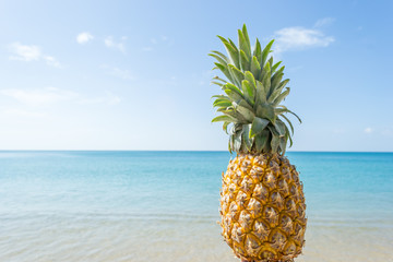 pineapple in hand with beautiful beach and blue sky background