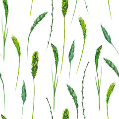 A seamless floral pattern with the watercolor green wildflowers and spikelets on a white background, a grass