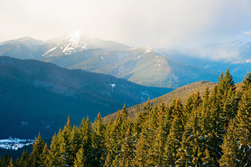 Hoverla mountain in the mist