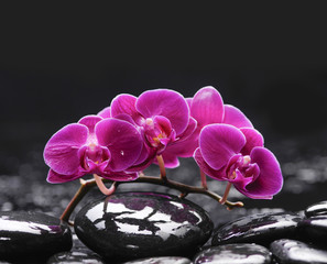 Naklejka na ściany i meble Still life with pink branch orchid with therapy stones 