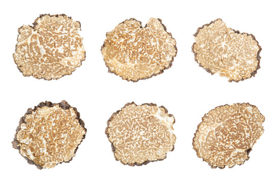 Black truffle slices collection isolated on white, clipping path