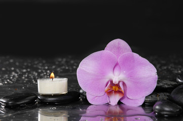 Fototapeta na wymiar tranquil spa scene- orchid with black stones with candle 