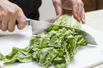 Cutting Lettuce for Salad at Home