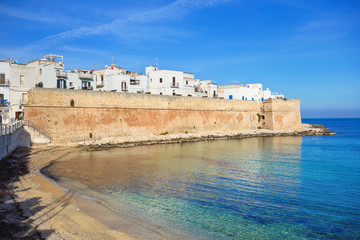 Panoramic view of Monopoli. Puglia. Italy. 