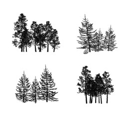 Fototapeta premium Tree