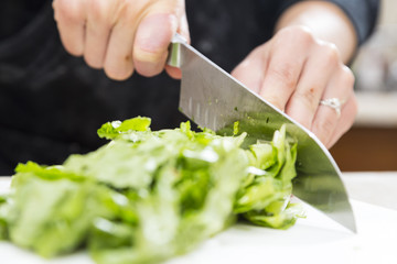Cutting Lettuce for Salad at Home