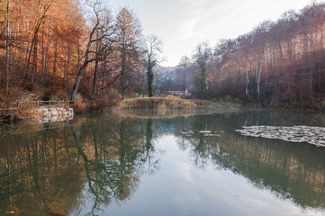 Arlesheim, Dorf, Waldweg, See, Ermitage, Seerosen, Wald, Waldspaziergang, Winter, Wintersonne, Baselland, Schweiz