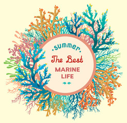 Obraz premium Underwater coral reef - marine life.