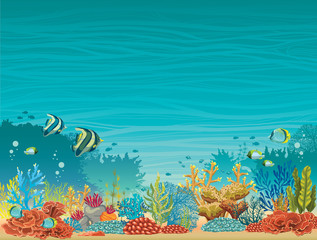 Obraz premium Underwater seascape - coral reef and fish.