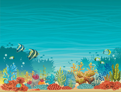 Underwater seascape - coral reef and fish.