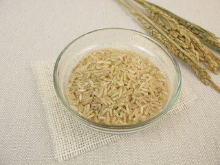 Ungekochter Vollkornreis