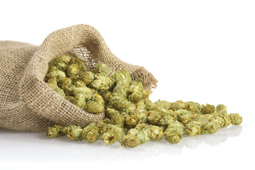 Fototapeta premium Getrocknete Hopfendolden