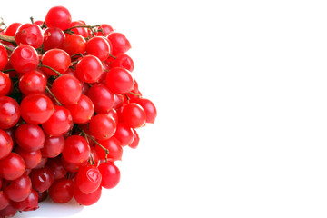 a bunch of cranberries on a white isolated background