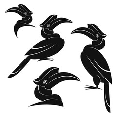 Hornbill © sandal1986