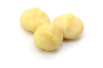 Macadamia