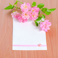 old paper tied with ribbon and pink rose on wood background, clo