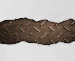 Pieces of torn paper