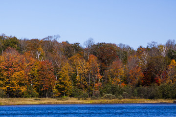 Obraz premium Fall Colors on Remote Forest Reaching the Water