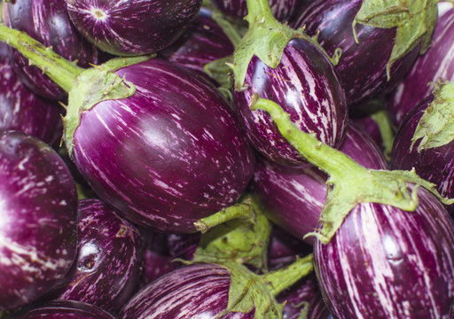 vegetable eggplant small violet