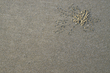 the texture and background sea sand with drawing