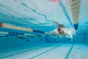 Professional man swimmer inside swimming pool. Underwater image. - 97791786