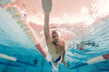 Professional man swimmer inside swimming pool. - 97791799