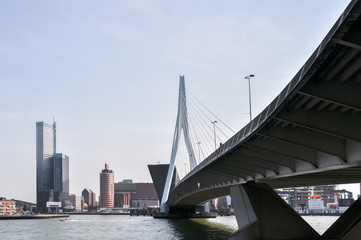 Fototapeta premium Erasmus bridge in Rotterdam Netherlands Holland