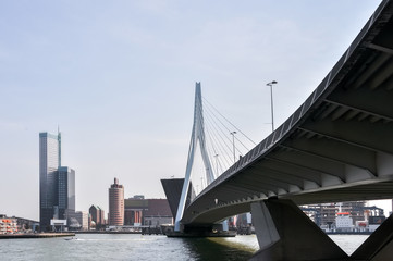 Erasmus bridge in Rotterdam Netherlands Holland