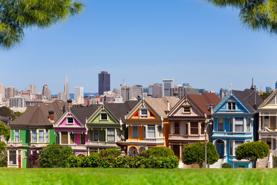 San Francisco skyline and painted ladies