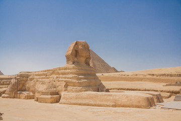 Sphinx and Pyramid in Giza