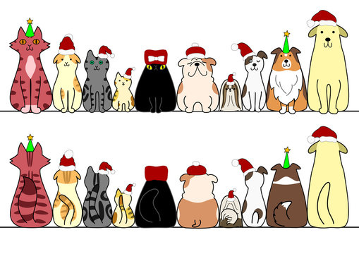 dogs and cats in a row with copy space,front and back