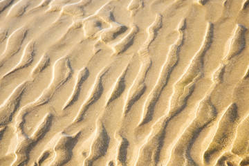 Fototapeta na wymiar dune in africa coastline wet sand near ocean