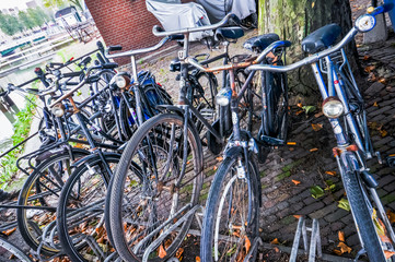 bikes on the streets of Rotterdam