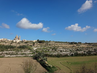 Засаженные поля и город в дали в летний солнечный день