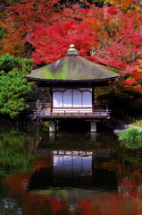 和歌山城西の丸庭園の紅葉