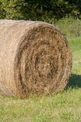Hay bales in meadow