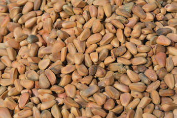 Pine nuts 5