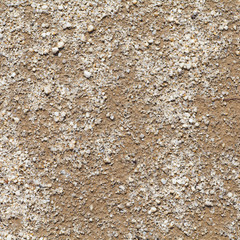 Natural detail and background of brown soil ..