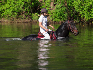 Equestrian girl riding horse through stream river and forest 