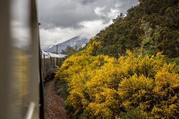 New Zealand Trans-Alpine scenic train Southern Alps Christchurch Greymouth