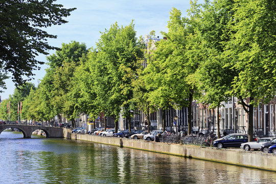 Green scenery in the historical Amsterdam canal belt, Netherlands.