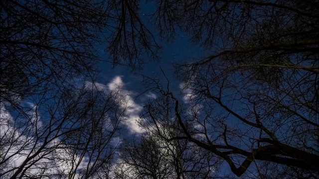 Nachthimmel über einem Park in Deutschland/Peißnitz in Halle-Saale